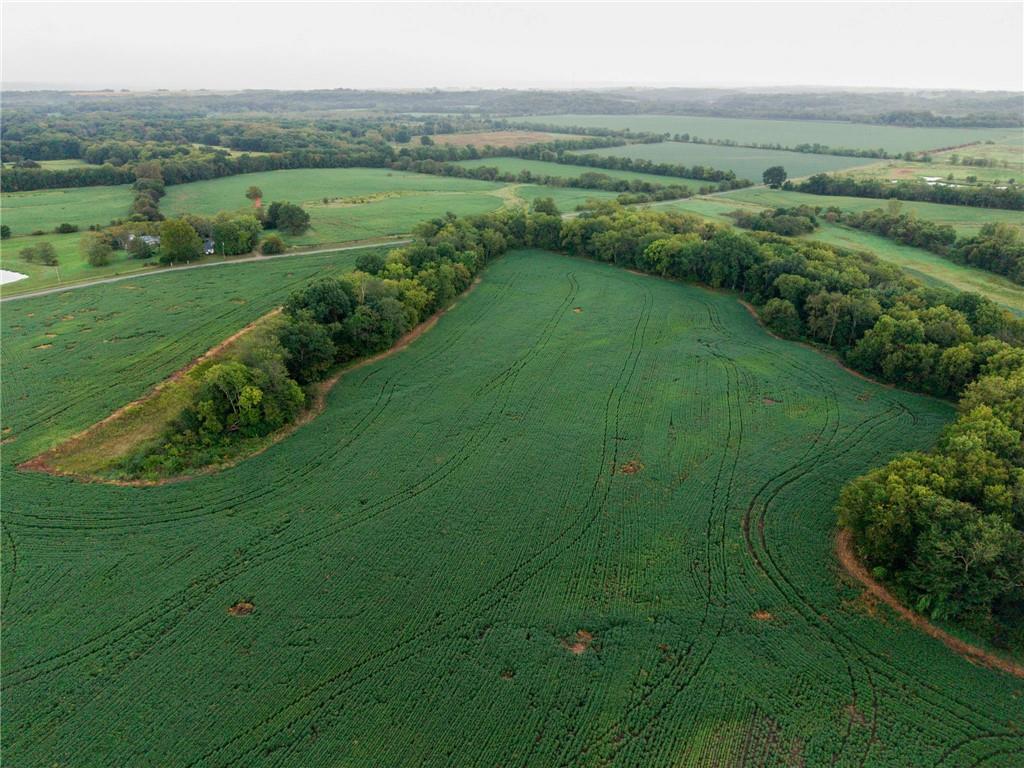 Listing Photo MLS #HMS2642562