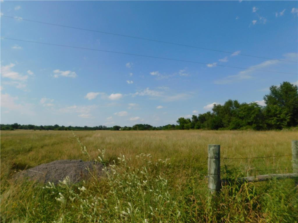 Listing Photo MLS #HMS2645849