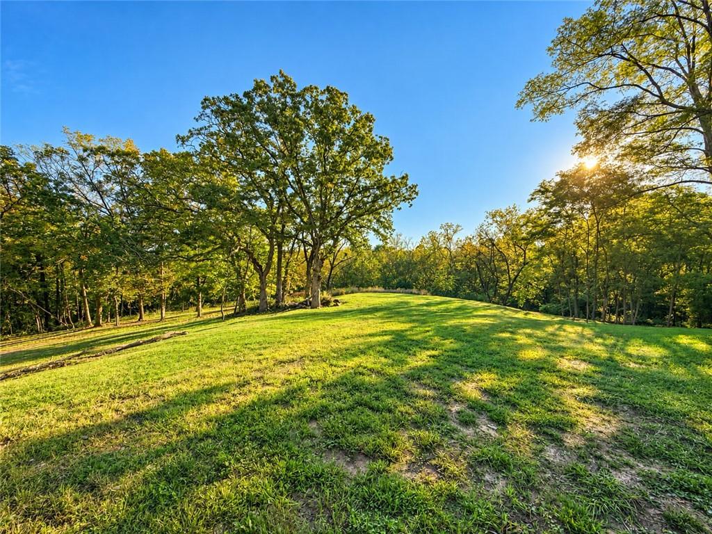 Listing Photo MLS #HMS2646500