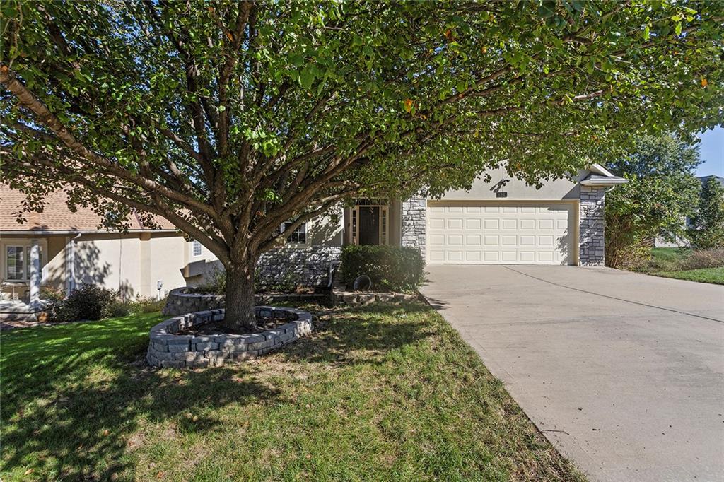 Listing Photo MLS #HMS2646510