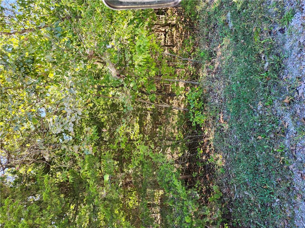 Listing Photo MLS #HMS2646637