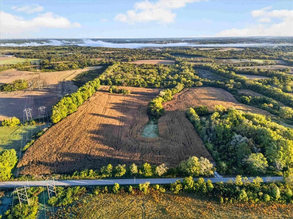 Listing Photo MLS #HMS2647677