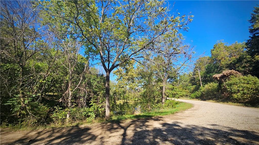 Listing Photo MLS #HMS2648256