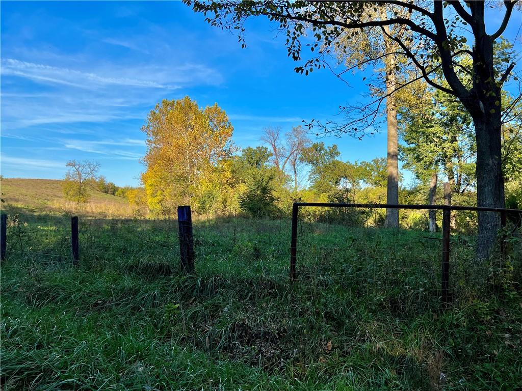 Listing Photo MLS #HMS2648428