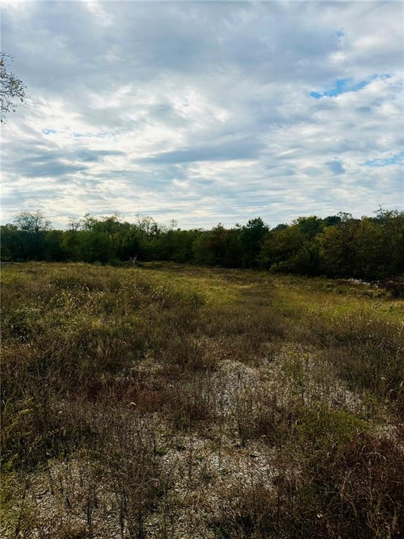 Listing Photo MLS #HMS2649116